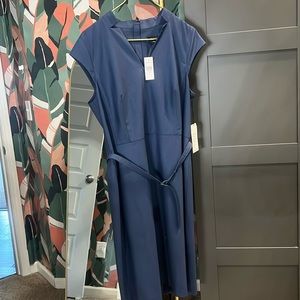 New Ann Taylor dress